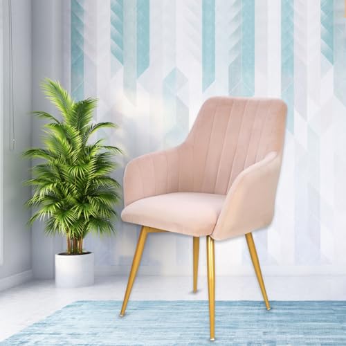 Image of Taboo Velvet Dining Chair | Upholstered Accent Arm Chair | Soft Cushioned Seat with Backrest | Modern Velvet Fabric Chair with Metal Legs | Living Room, Bedroom, Cafe & Restaurant Chair | Baby Pink