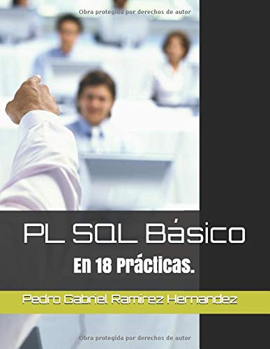 PL SQL Básico: En 18 Prácticas.
