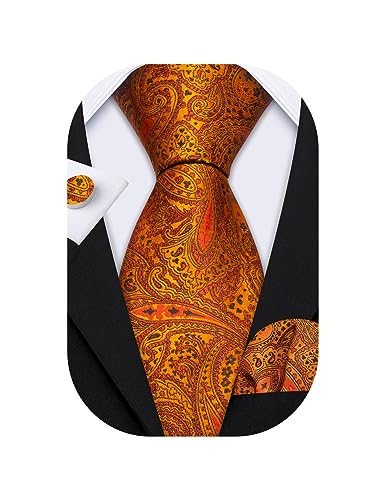 Image of Barry.Wang Paisley Tie Fashion Set Hanky Cufflinks Neckties for Men Woven Silk