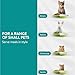 Navaris Twin Feeding Dog or Cat Bowls - Durable Double Ceramic Kitten or Puppy Bowl Set - Ideal for Food & Water for Small Pets - Space-Saving Design & Easy to Clean - Green