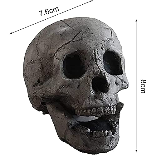 5 Stks Realistische Schedel Ornament Halloween Draagbare Vuurvaste Keramische-Klei Schedel Sculptuur Voor Haard Terreur… - Image 3