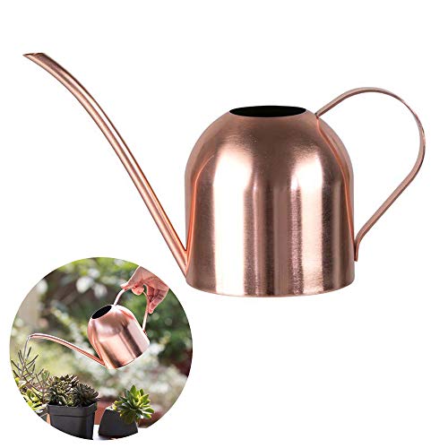 Hggzeg Edelstahl-Gießkanne, kleiner, langer Gießtopf für Haus, Innen- und Außenbereich, Garten, Sukkulenten, 500 ml, Roségold