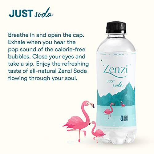 Image of Zenzi Just Soda | Unflavoured Soda, Pack of 12 (350ml Each) | Zero Sugar & Zero Calories Sparkling Mixer | 100% Natural Carbonated Water | Alternative For Soft Drink | Plain Soda Water