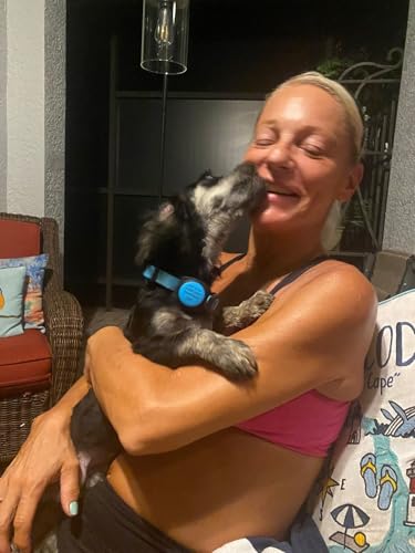 Pod Pick: Danie Wright Will Fight For Her Dog cover art