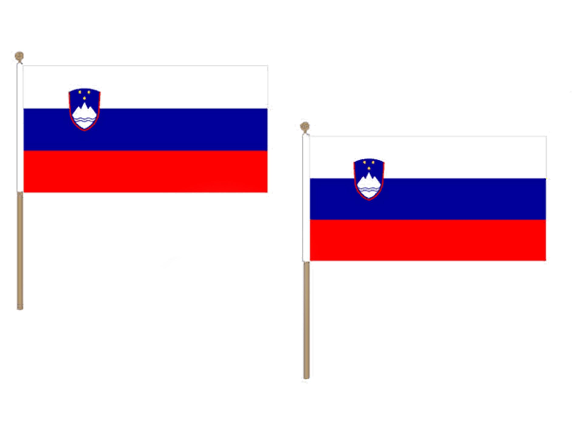 AZ FLAG Pacco 10 Bandiere Slovenia 45x30cm con Asta di Legno - Bandiera SLOVENA 30 x 45 cm