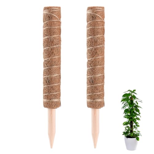 Lot de 2 Poteaux en Mousse, Totem en Coco, Support pour Plantes en Coco pour Plantes en Pot, Bâtons Totem Empilables, Support pour Plantes D'intérieur pour Plantes Grimpantes Monstera Pothos(#4)