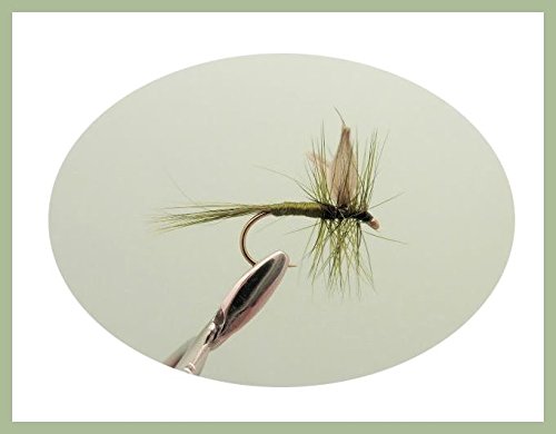 6 Pack of Dark Olive Dry Trout Fishing Flies Choice (16)