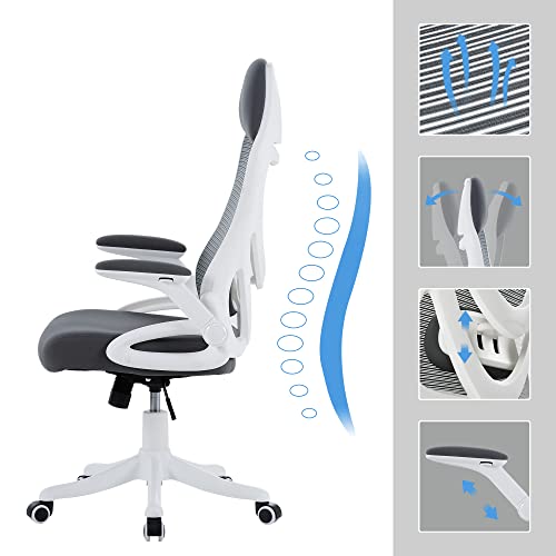 Nordicana Ergonomic Office Chair - Swivel Desk Chair With Adjustable Armrest, Lumbar Support - Mesh High Back Computer Gaming Chair, Home Office Chairs, Executive Revolving Chair (Grey) #TOP3