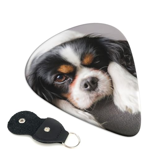 �L���o���A �L���O �`���[���Y �X�p�j�G���̌� ���킢������G���L�M�^�[�s�b�N �A�j���t�@�b�V�������y�� 0.96mm