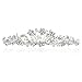 SAMKY Handmade Bridal Flower Rhinestone Crystal Prom Crown Tiara T957