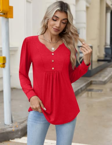 Image of Zeagoo Womens Long Sleeve Tops Fall V Neck Shirt Casual Pleated Tunic Top