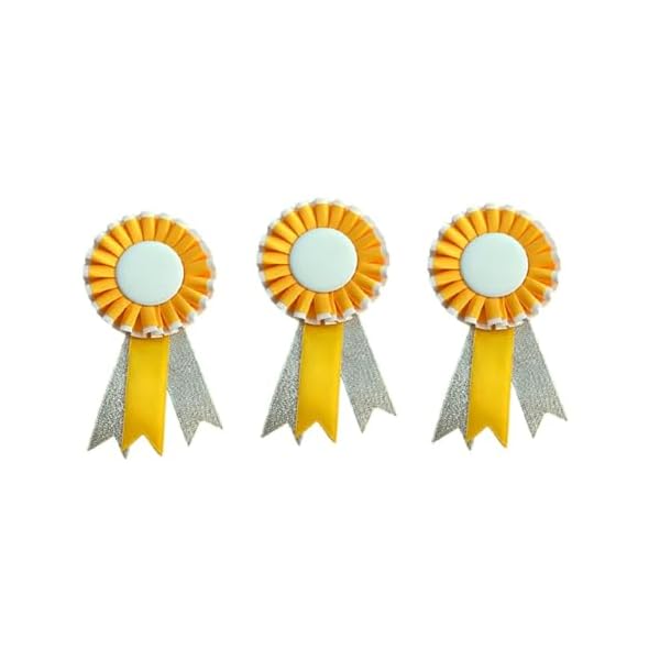 Gmefvr Award Ribbon Badge Brooch RNR office corporate Reward Rosette