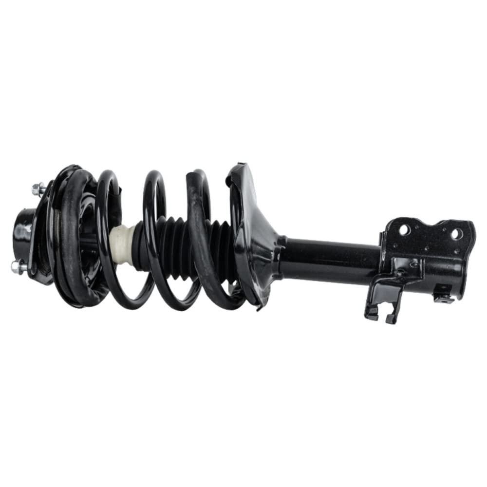 Amazon.com: JJ Shock Absorbers and Strut Assembly Front Driver 