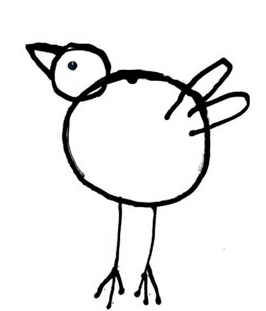 Komische Vögel - Malen und Zeichnen mit Carll Cneut