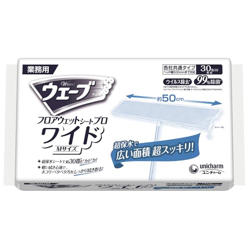 EF[u yƖptAV[gChz tAEGbgv ւV[g ChMTCY 30 