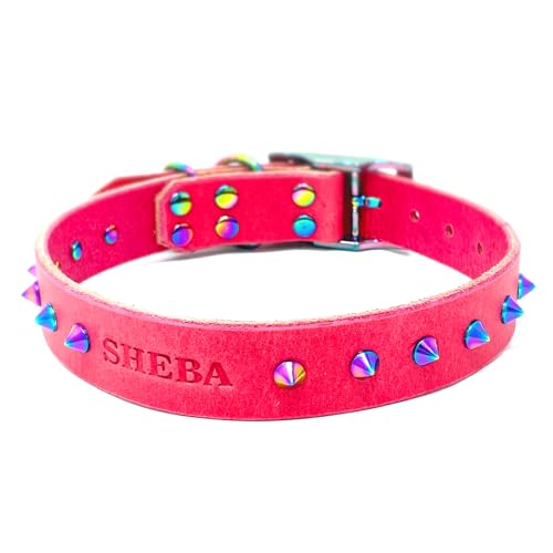 Handmade Spiked Personalized Bridle Leather Dog Collar, Rainbow Hardware, Embossed Name (Pink)