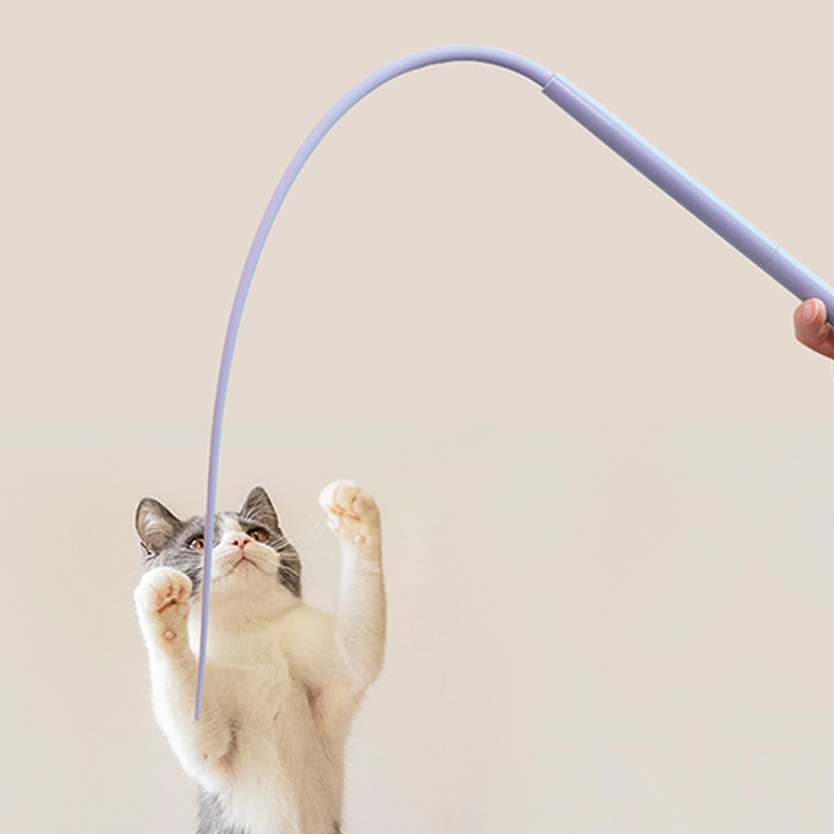 ラバー 貼り付け  ねずみとねこ ラバー 貼り付け ねずみとねこ