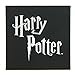Harry Potter Hedwig Owl With Hogwarts Acceptance Letter Broche Brooch Enamel Pin