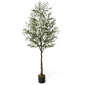 Caphaus 6 feet 72 inch artificial olive tree faux plant in pot faux olive branch and fruit fake potted topiary tree with dried moss for indoor home office modern housewarming decoration gift  urban country home decor