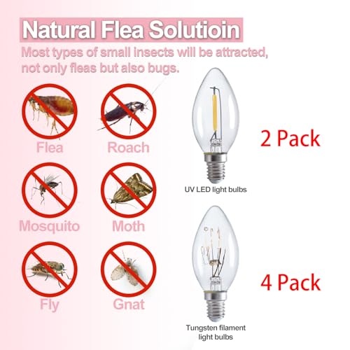 Heco Armor SK121 Flea Traps For Inside Your Home thumb #2