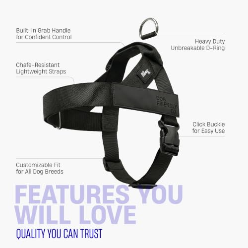 Image of Dog Friendly Co. Dog Harness for Medium Sized Dogs (Black, Medium)