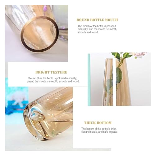 SPHINX Decorative Glass Vase for Flowers Plants Home Decor Office Living Table Decorations, Vases for Home Decor, Luster Glass Vase,Modern Glass Vase - (Crystal Amber, Approx 9 Inches Height) - Image 8