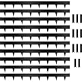Worth Garden 10-Pack Galvanized Steel Landscape Lawn Edging - 4.5in H Black Powder Coated Bendable Metal Strips - Hammer-in Edging Border w/ 11 Clips - Yard Pathway Divider (33Ft Total)