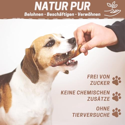 PrideDogs Büffelfleischstreifen 1000g - Premium Kausnack für Hunde - 100% Büffel Deutscher Herstellung - verschließbarer Beutel