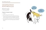 Das kleine Buch der Hundesprache: Was dir dein Freund auf vier Pfoten sagen will