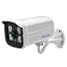 Produktbild Asiproper BESDER wasserdichte Outdoor IP Kamera Nachtsicht Monitor ONVIF Sicherheit CCTV Für ios, Android (1080P)