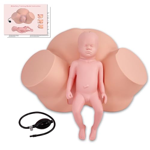 Image of Birth Midwifery Training Model Simulator, Life Size Midwifery Mannequin Childbirth Demonstration Obstetrics Gynecology Normal Abnormal Fetal Positions Delivery Maternity Manikin for Teaching Medical