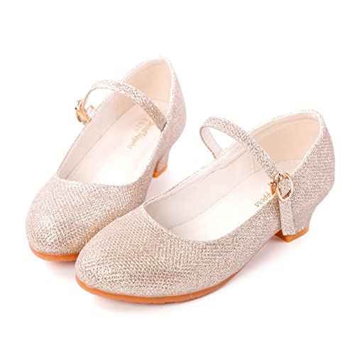BEARAE Girls Mary Jane Shoes Party Dress Shoes Low Heel Girls Dress Shoes Wedding Party Mary Jane Princess Shoes for Kids