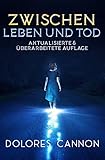 Zwischen Leben und Tod (Aktualisierte & überarbeitete Auflage): Unterhaltungen mit der Geistigen Welt