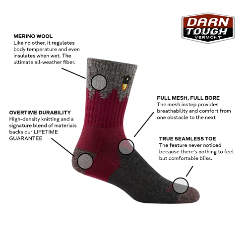 Darn Tough Men's Number 2 Micro Crew Midweight with Cushion Sock (Style 1974)2