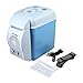 YINGGEXU mini lodówka 7.5L Przenośny Mini Lodówka Lodówka Lodówka Ogrzewacza 12 V Camping Camping Lodówka Frigobar