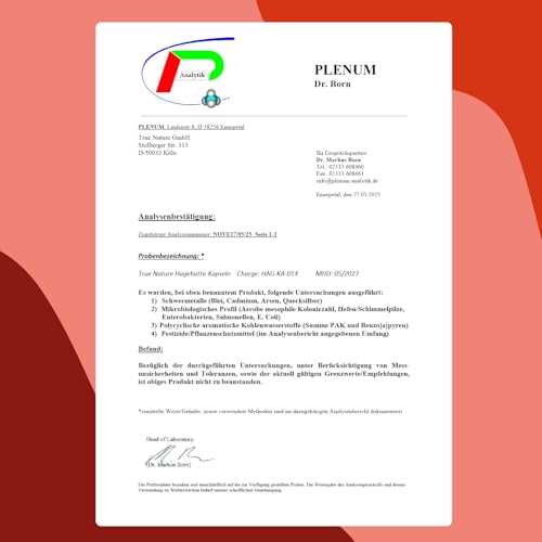 Hagebuttenextrakt Bio Kapseln von True Nature hochdosiert 360 Stück