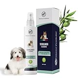 Farmacia Veterinaria