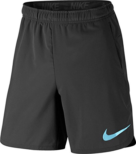 Nike Men's Flex Vent Max Training Short Midnight Fog Vivid Sky 833374-038 (L)