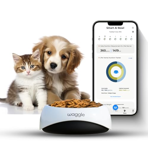 Waggle Smart Feeder