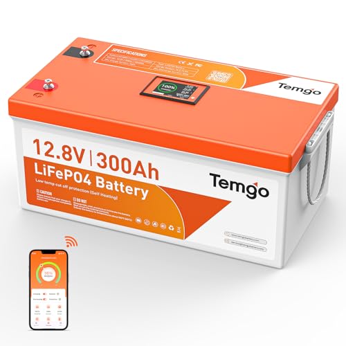 TEMGO 12V 300Ah Self-Heating LiFePO4 Lithium Battery with Smart Touch Screen & Bluetooth App, Low-Temp Protection, Built-in 200A BMS, 3840Wh Energy, 5000+ Cycles, for RV, Camper, Solar, Off-Grid