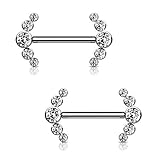 Dynamique Implant Grade Titanium Nipple Barbells With CZ Bezel Set Internally Threaded 5-CZ Curve...
