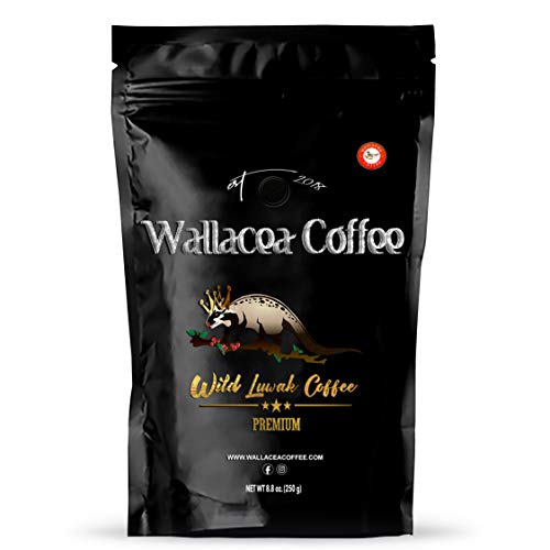Wallacea Coffee (Gift) Certified Wild Kopi Luwak Coffee Ground, Civet Coffee, Kopi Luwak From Gayo Sumatra Indonesia (8.8 oz)