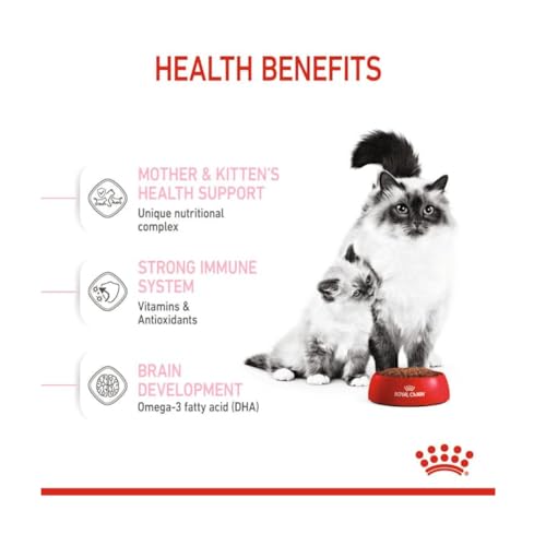 Royal Canin Mother & Babycat Trockenfutter | Doppelpack | 2 x 400 g | Für tragende und säugende Katzen | Alleinfuttermittel speziell für die Mutterkatze und ihre Welpen