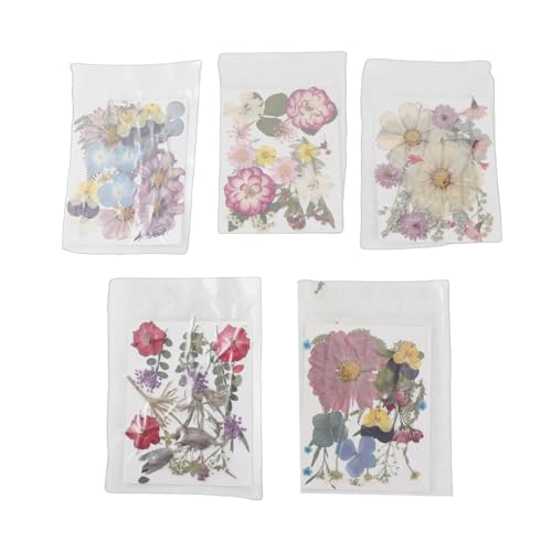 100 flores prensadas secas para manualidades variadas miniatura 5