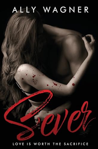 Sever view 2