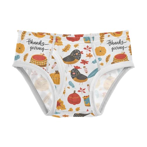 visesunny Boys Cotton Underwear Thanksgiving Chicken Autumn Printed Toddler Soft Training Briefs Size 2T-8Y for Kids