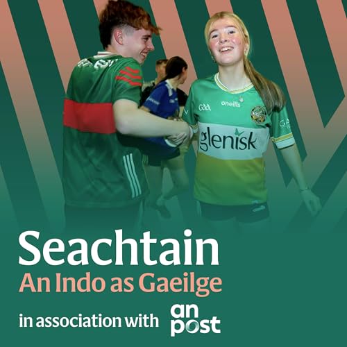 Bean an Tí exodus: Rethinking na coláistí samhraidh cover art