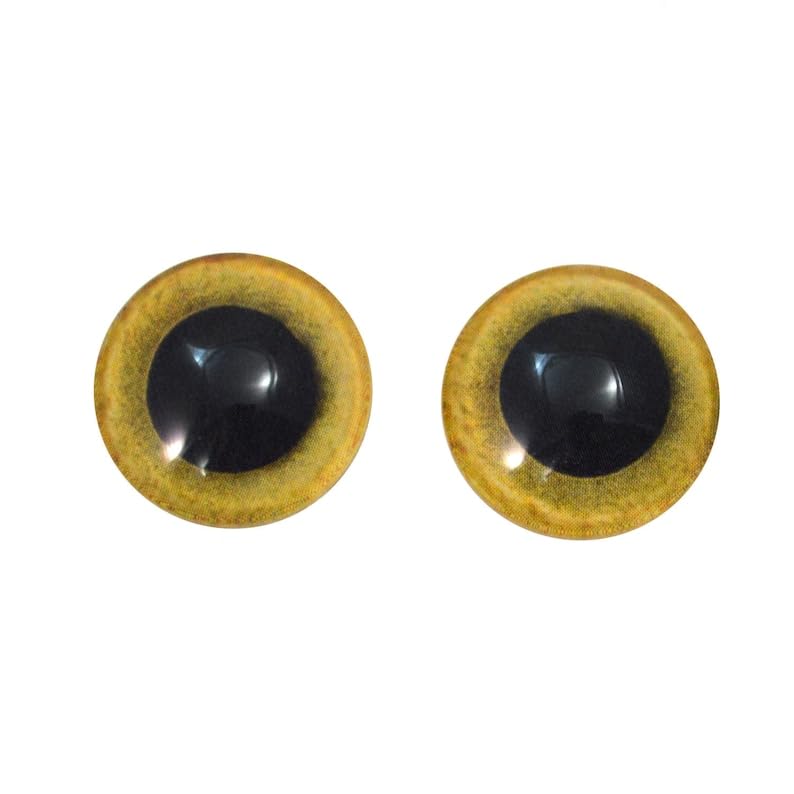 Single Yellow Owl Eye 25mm 1 Inch for Taxidermy Sculptures or Jewelry Making Pendants Crafts Art Wire Wrapping DIY Flatback Cabochon