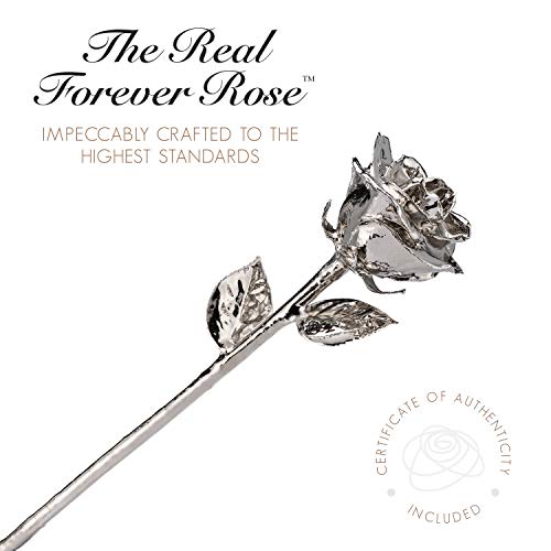 Forever Rose Real Platinum Rose, Genuine One of a Kind Rose Hand Dipped