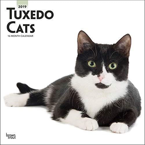 Chats Tuxedo Calendrier Mural Races De Chat Par Calendriers Cats Tuxedo Wall Calendar Amazon Fr Fournitures De Bureau Chats Tuxedo Calendrier Mural Races De Chat Par Calendriers Cats Tuxedo Wall Calendar Amazon Fr Fournitures De Bureau